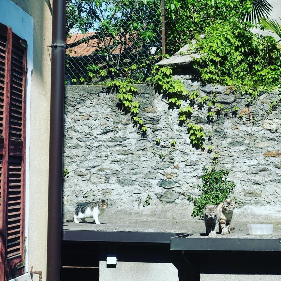 House Of Cats Apartment Domaso Exterior photo