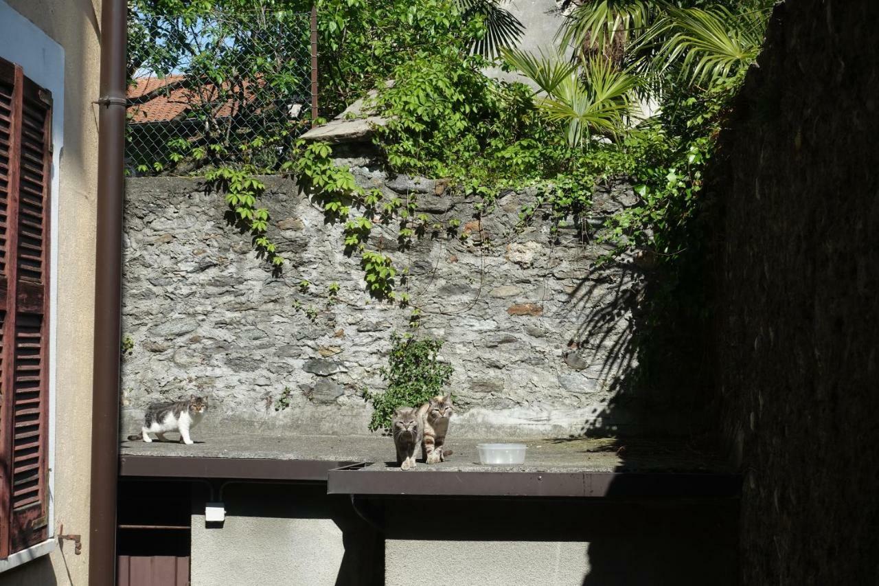 House Of Cats Apartment Domaso Exterior photo